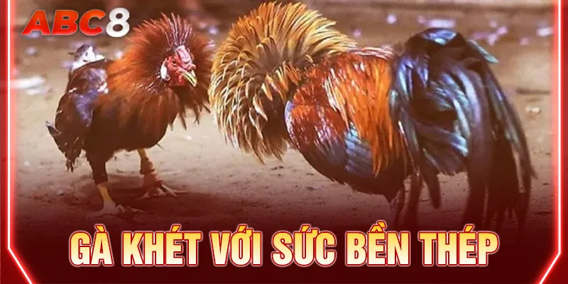 Mang trong mình sức bền thép, dễ dàng trụ vững đến cuối trận